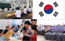 VÌ SAO 40 QUẬN, HUYỆN BỊ TẠM DỪNG XUẤT KHẨU LAO ĐỘNG HÀN QUỐC 2019