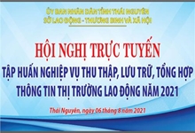 Hội nghị trực tuyến Tập huấn Nghiệp vụ thu thập, lưu trữ, tổng hợp thông tin thị trường lao động năm 2021