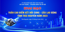 TUẦN CAO ĐIỂM KẾT NỐI CUNG - CẦU LAO ĐỘNG TỈNH THÁI NGUYÊN NĂM 2023