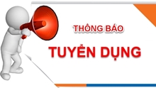 TỔNG HỢP THÔNG TIN NHU CẦU TUYỂN DỤNG LAO ĐỘNG THÁNG 7 NĂM 2025